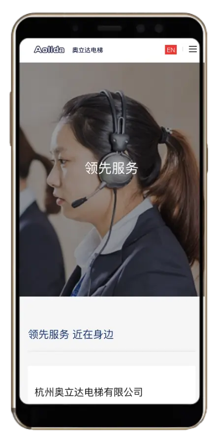 奥立达网站开发 